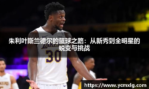 朱利叶斯兰德尔的篮球之路：从新秀到全明星的蜕变与挑战